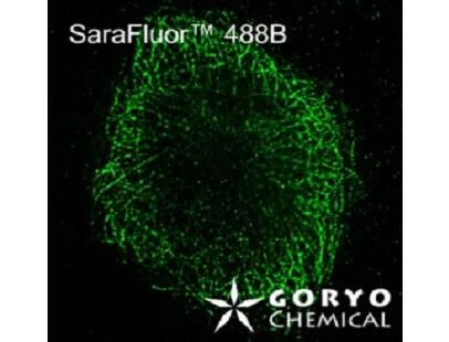 SOLDA FLUOR HP 04/05/06 パウダーセット SaraFluor™ Structural Imaging Series(微細構造イメージング用蛍光